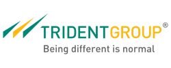 Trident Group logo